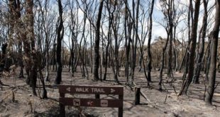 New weapon to fight Aussie bushfires kicks off service in WA